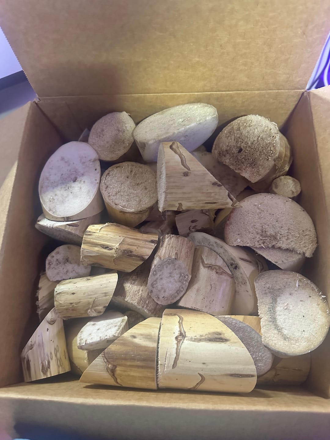 Customer photo review of Yucca SECONDS