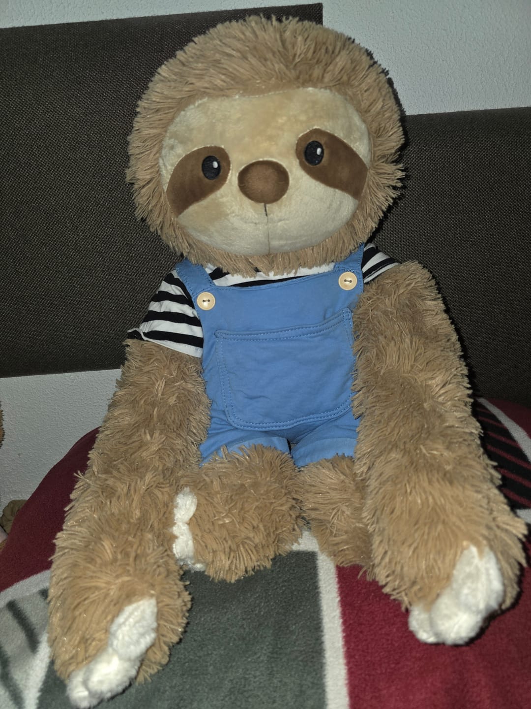 Customer photo review of Lotgenootje Luiaard 2,5kg