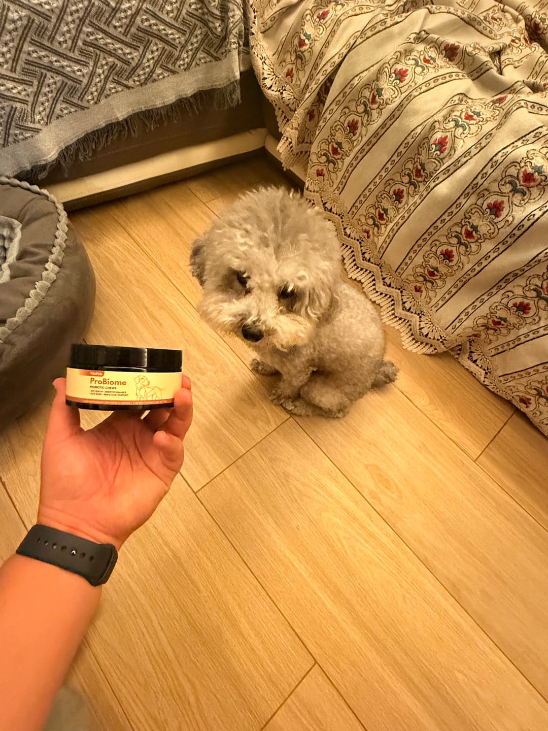 Customer photo review of ProBiome™狗狗益生菌軟粒