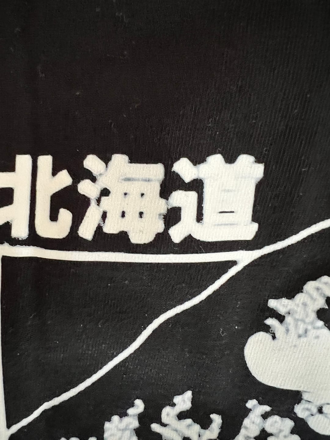 Customer photo review of Crashing Waves T-Shirt