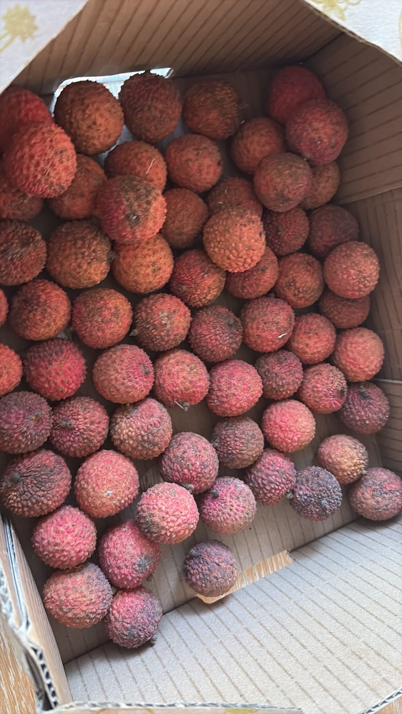 Customer photo review of Litschi (Lychee) Bio von Julian