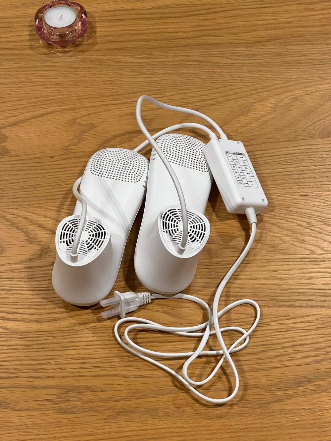 Customer photo review of Ski Boot Dryer