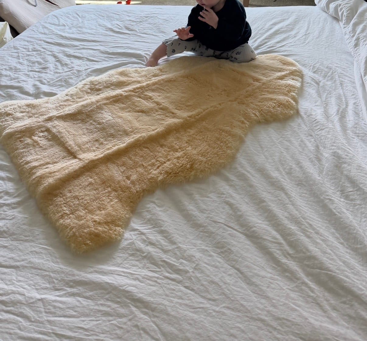 Customer photo review of Sheepskin Rug for Babies, 100% Natural, Shorn Lambskin Wool, 2 x 3 Feet, Flax