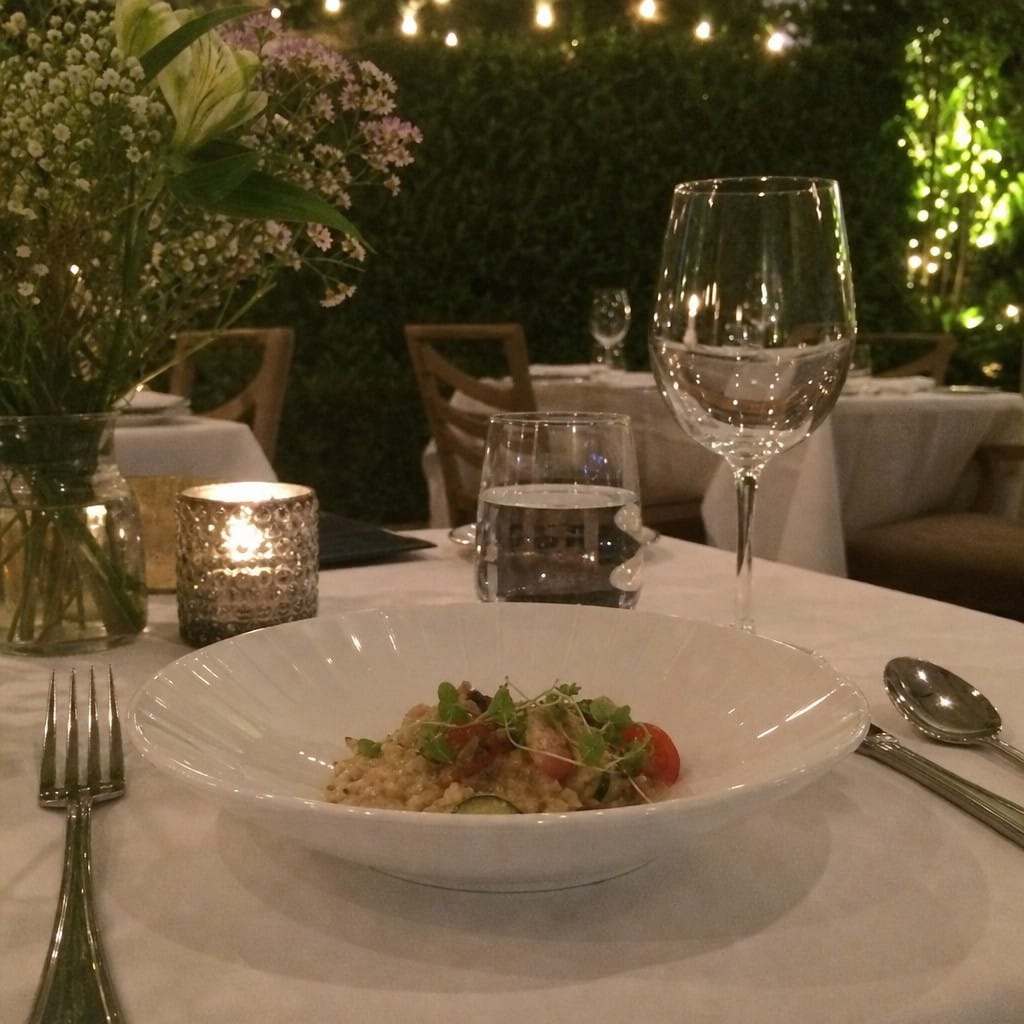 Customer photo review of Oatmeal Bowls 165mm Ceramic for Upscale Dining (Pack of 36)