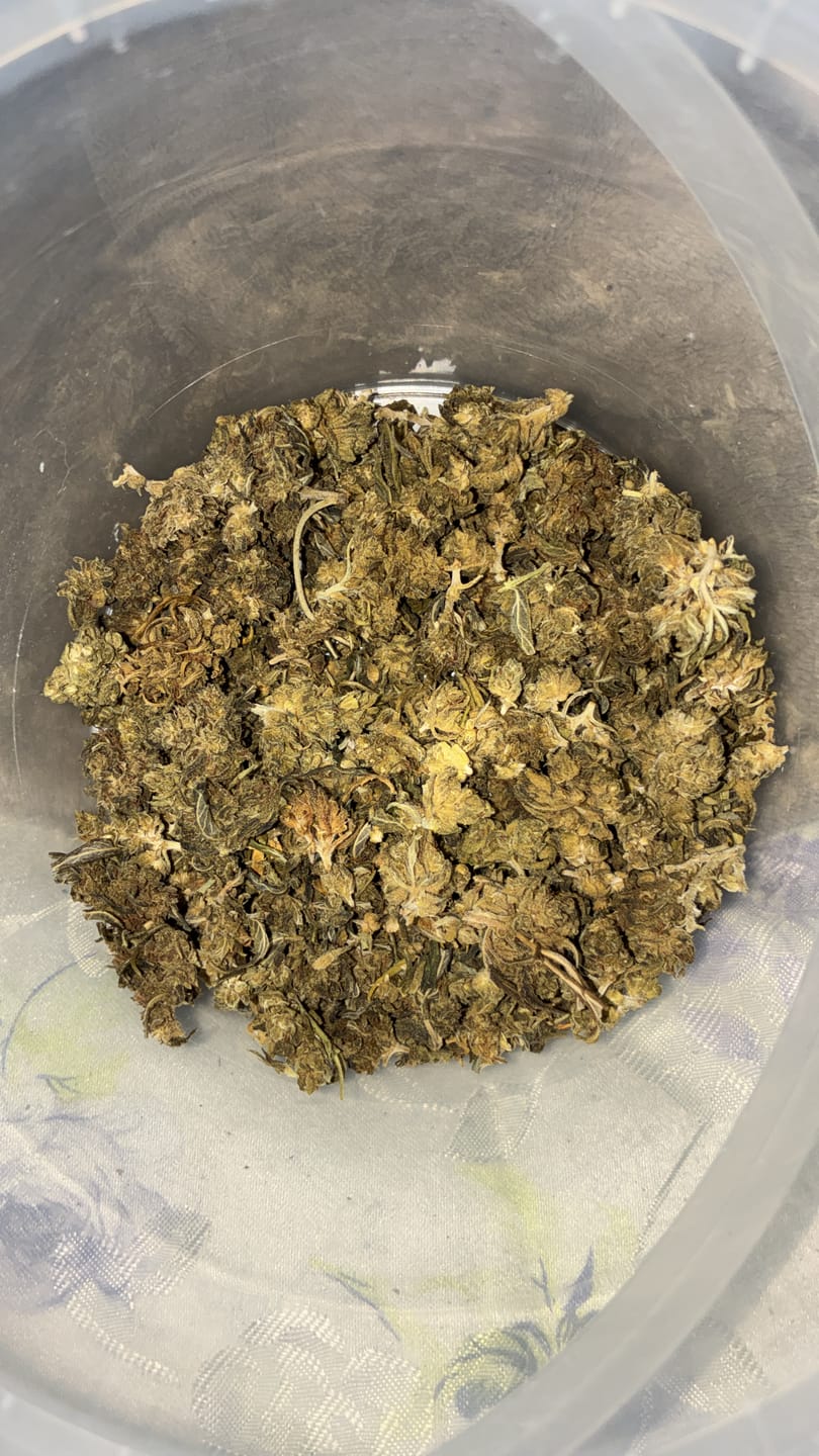 Customer photo review of 🍃 Blütenmix - POWER LVL: 4/5