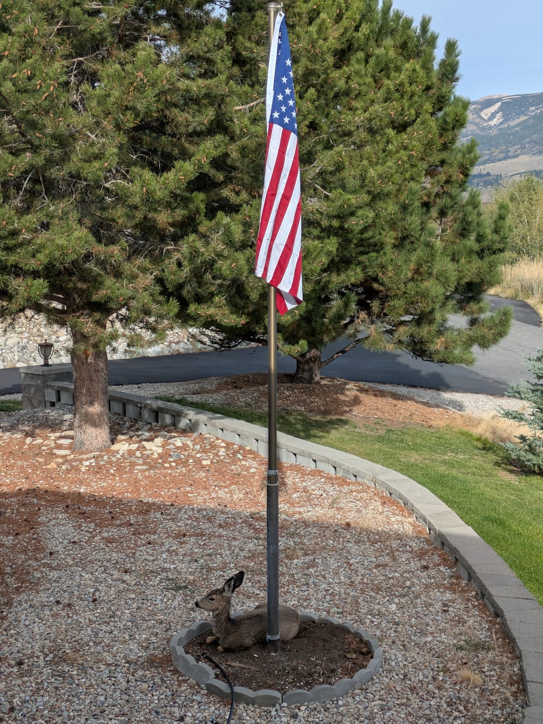 Customer photo review of Ultra Heavy Duty American Flag - 2-ply Polyester - Made In USA