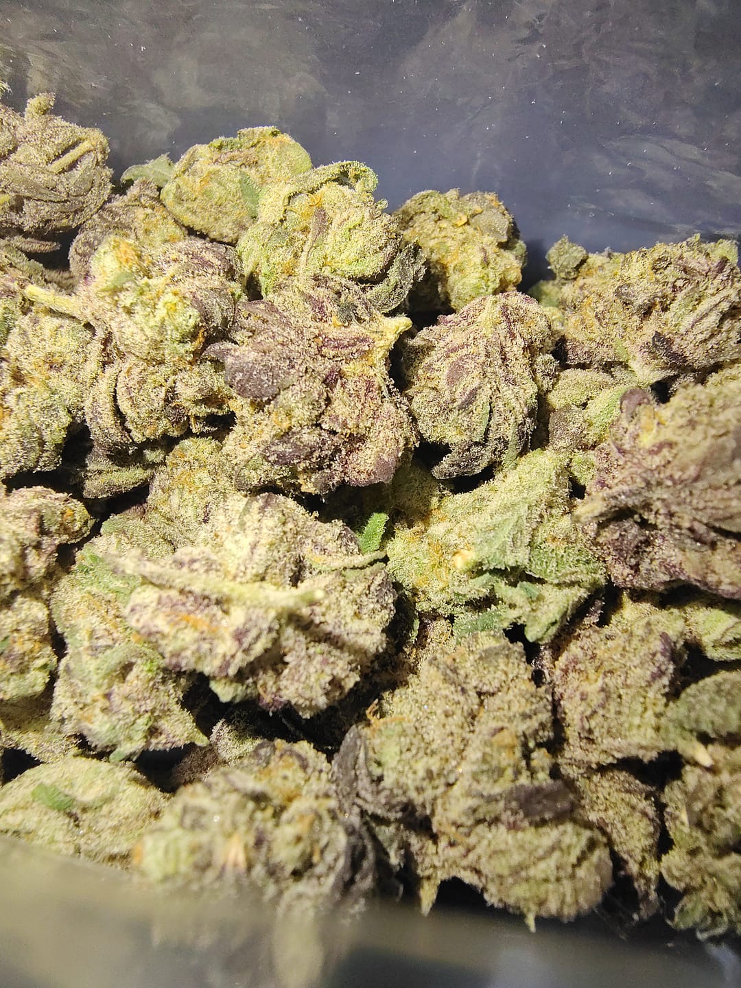 Customer photo review of Cereal Milk THCA Flower (Budget)