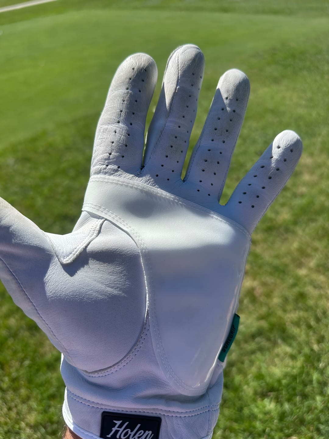 Customer photo review of Holen SureGrip Glove