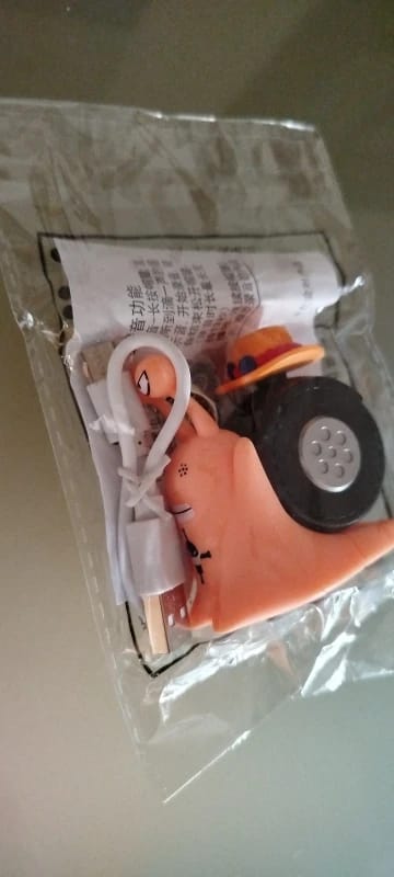 Customer photo review of Mushi Voice Grabadora