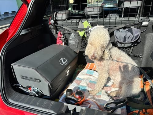 Customer photo review of Aufbewahrungsbox für den Kofferraum des Autos