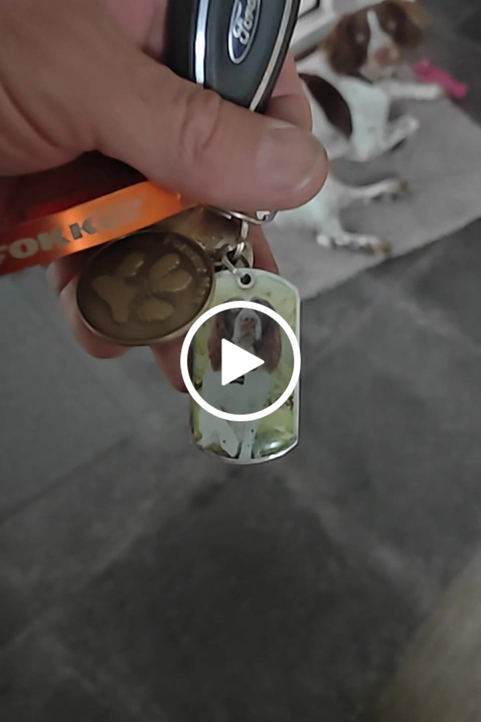 Customer video review of Personalized Pet Keychain