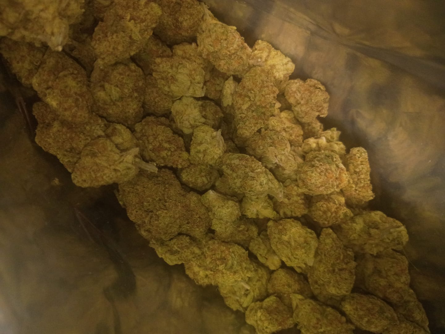 Customer photo review of Strawberry Cough THCA Flower