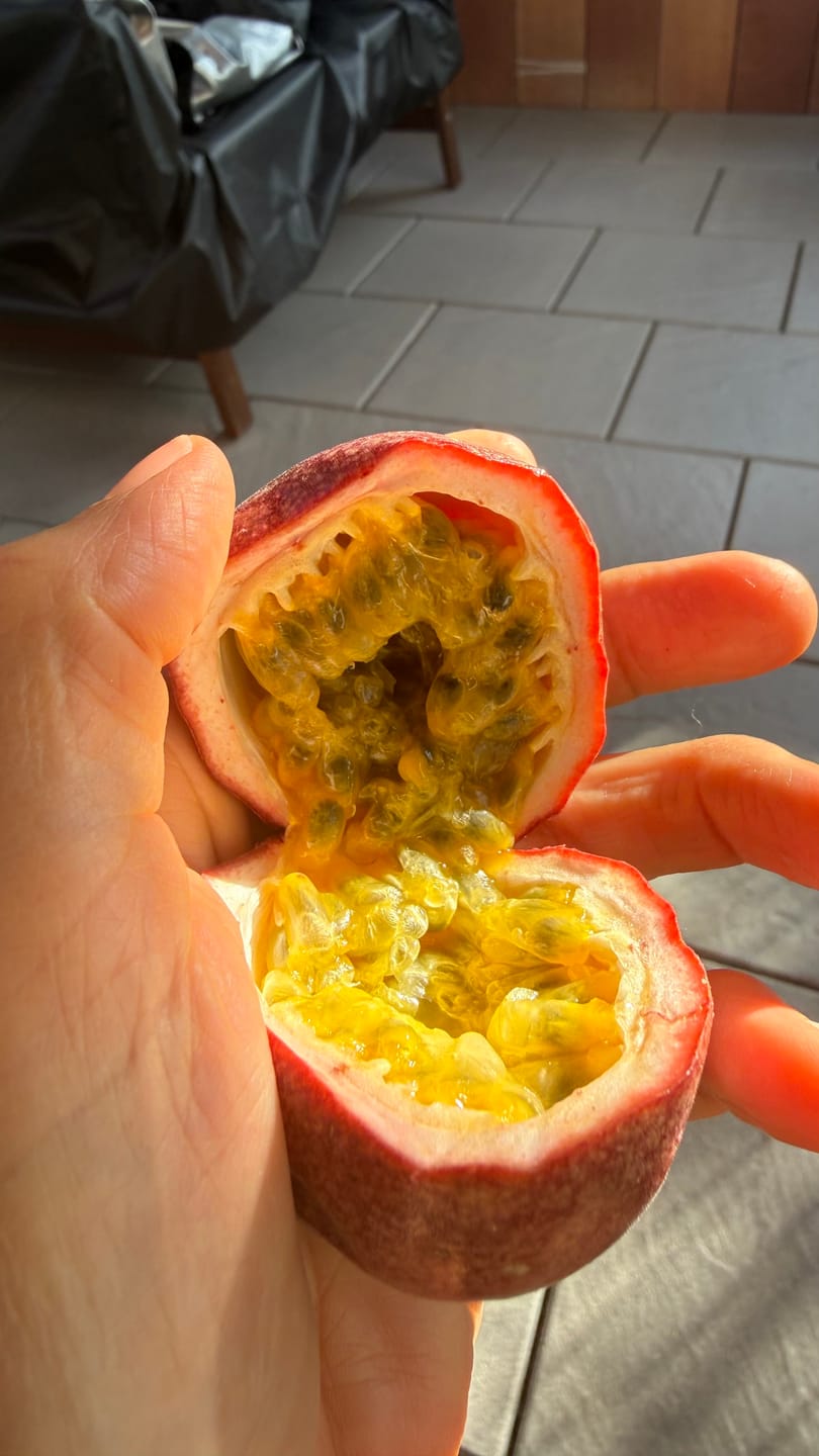Customer photo review of "Passiflora Lovers" Maracuja-Mix Box