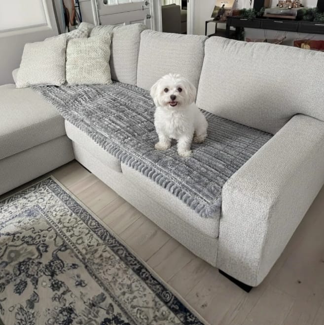 Customer photo review of Loami CozyCover™ – die kuschelige Sofadecke für Haustiere 🐾