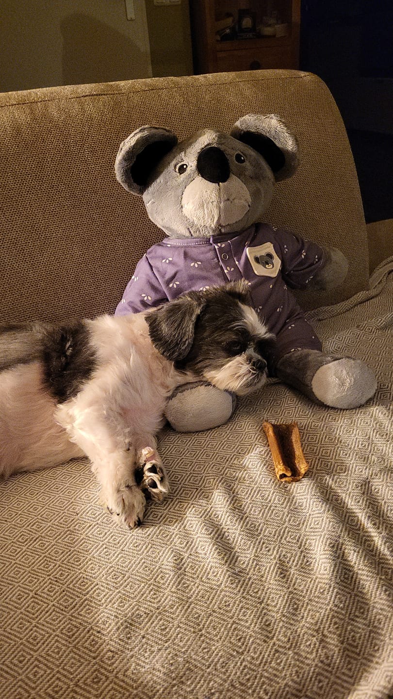 Customer photo review of Mini Lotgenootje Koala