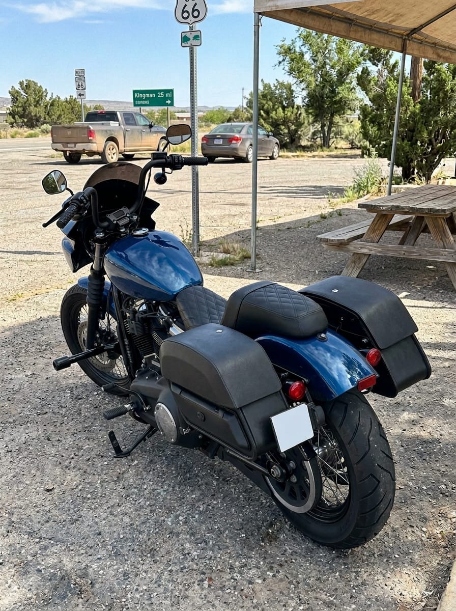 Customer photo review of 28L - Pantheon Medium Quick Mount Motorcycle Saddlebags For Harley Softail Street Bob FXBB/S