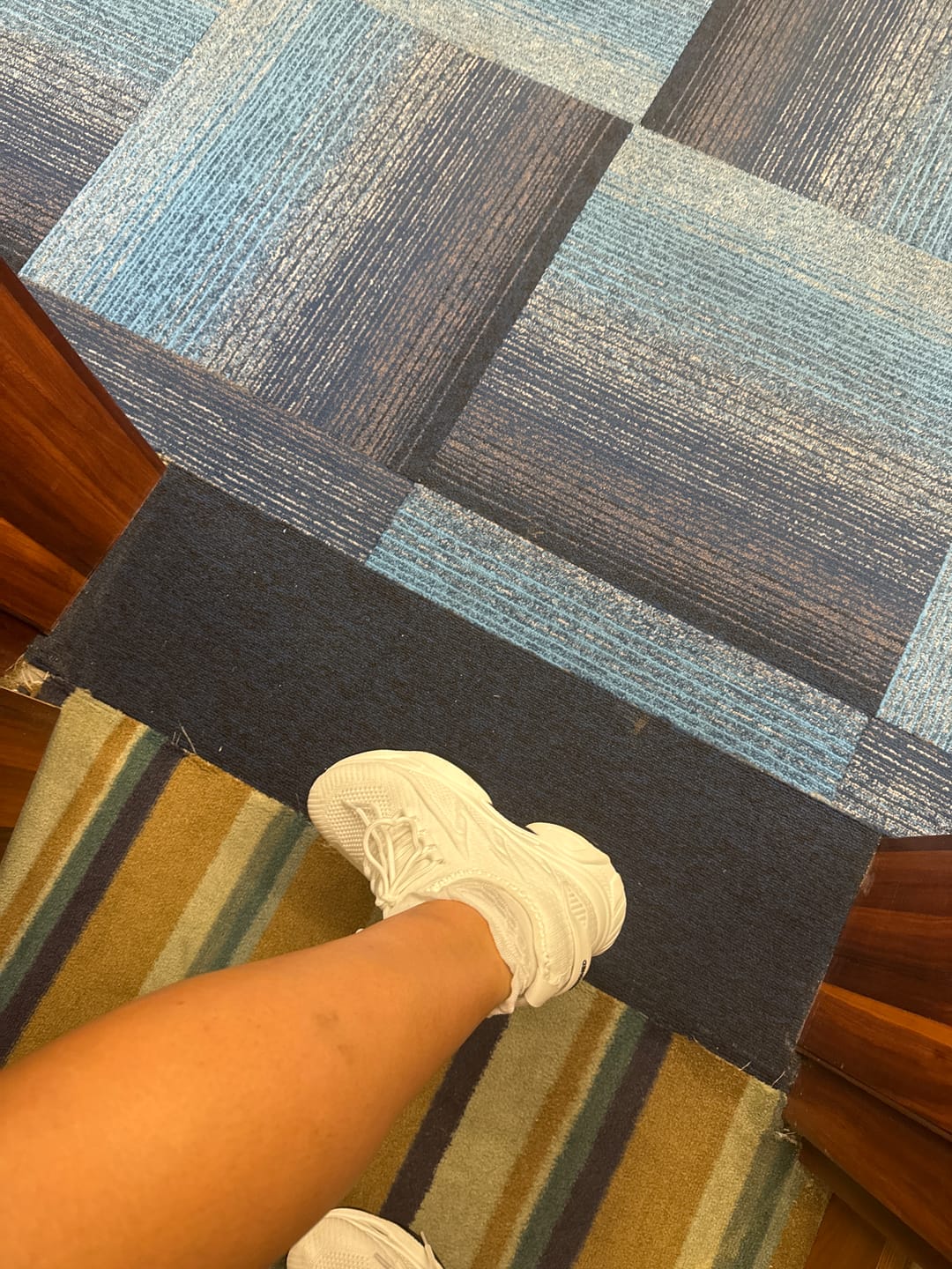 Customer photo review of ELEVATESHOES SPORTY