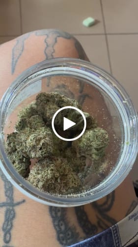 Customer video review of THC-A 34% Flower Do-Si-Dos x Gelato