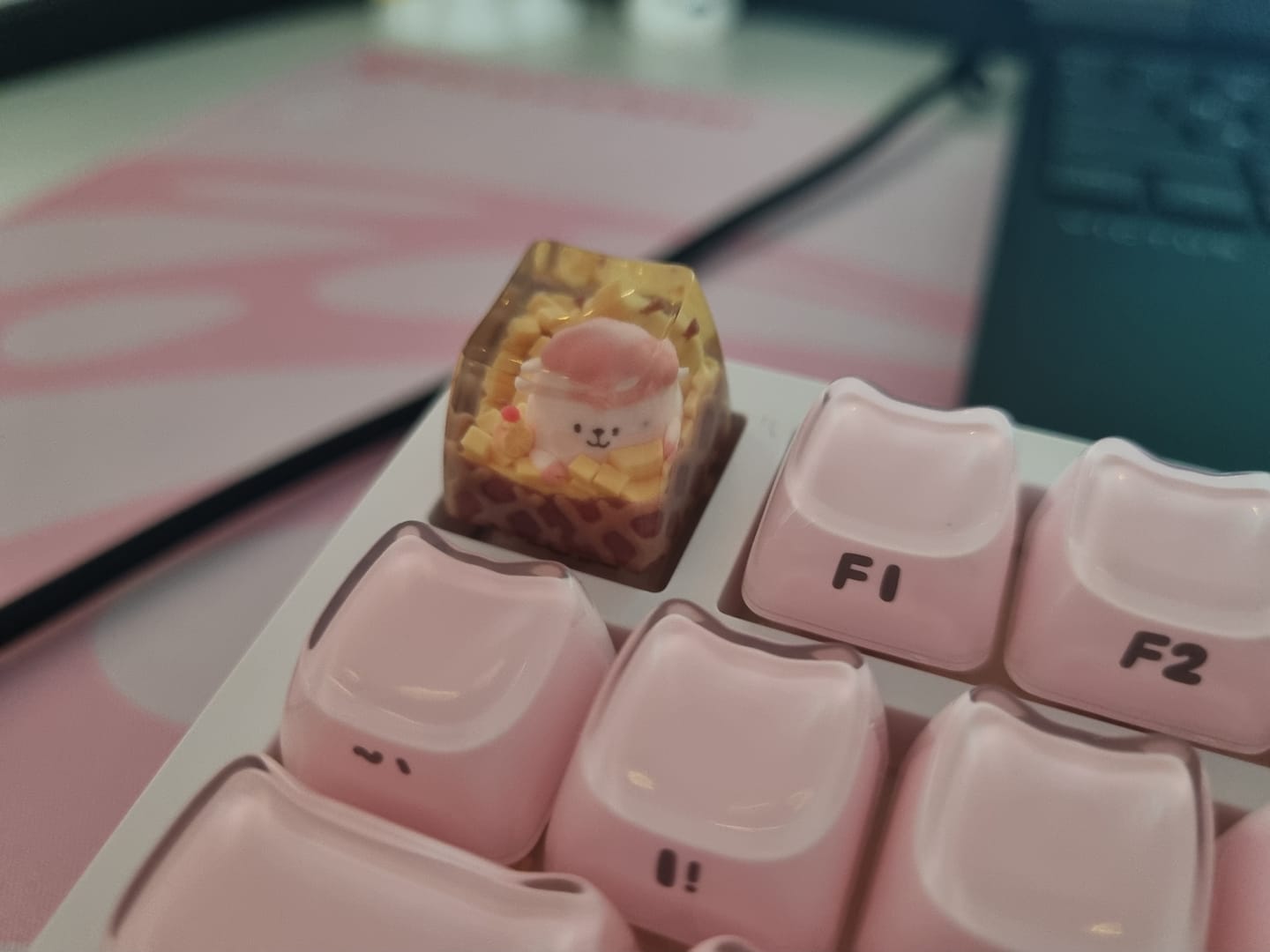 Customer photo review of KEYMOJI STUDIO Animal Ice Cream Tuş Başlığı