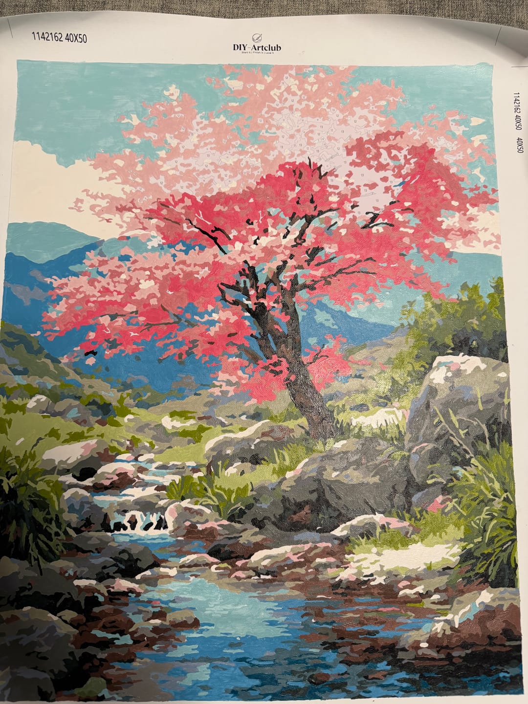 Customer photo review of Cherry blossom tree | Paint by Number