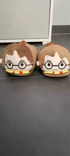 Customer photo review of Chaussons Harry Potter