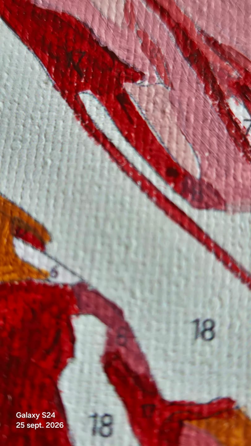 Customer photo review of Colorful Couple Dancing | Paint by Numbers