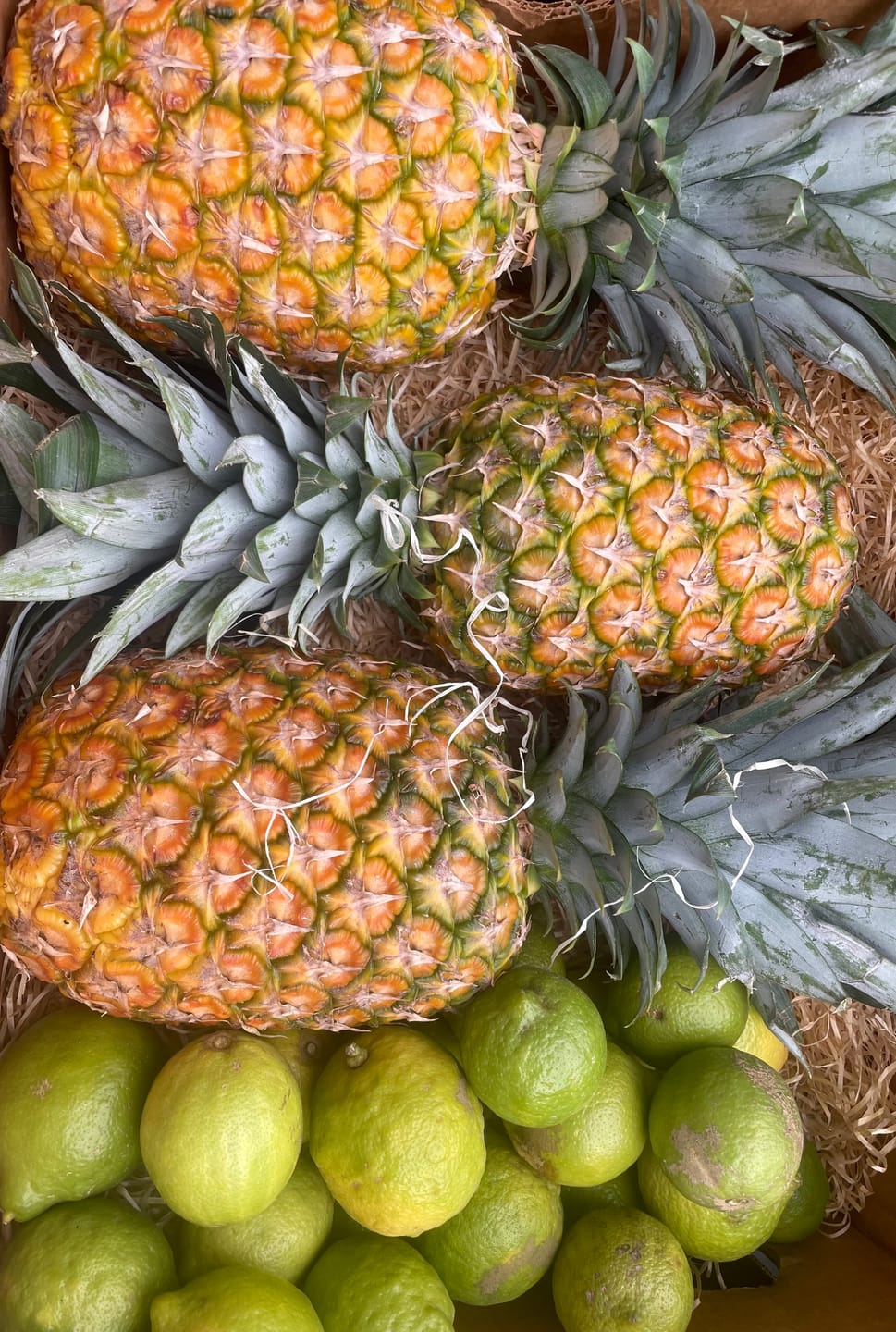 Customer photo review of Ananas Flugware reifgeerntet groß (1,5kg-1,75kg)