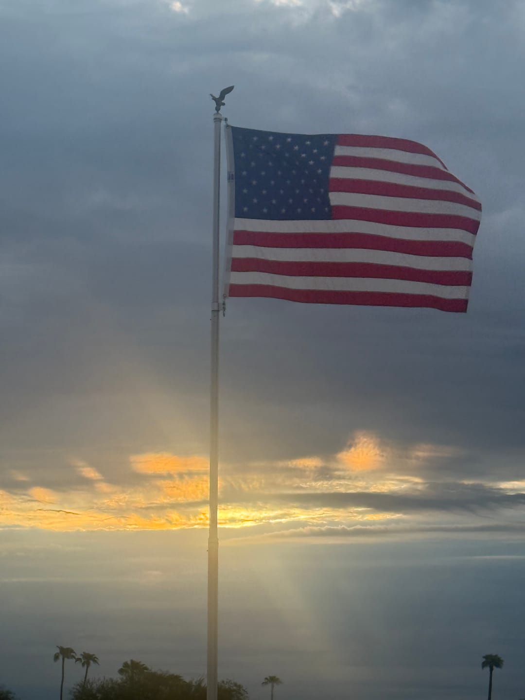 Customer photo review of 4' x 6' American Flag