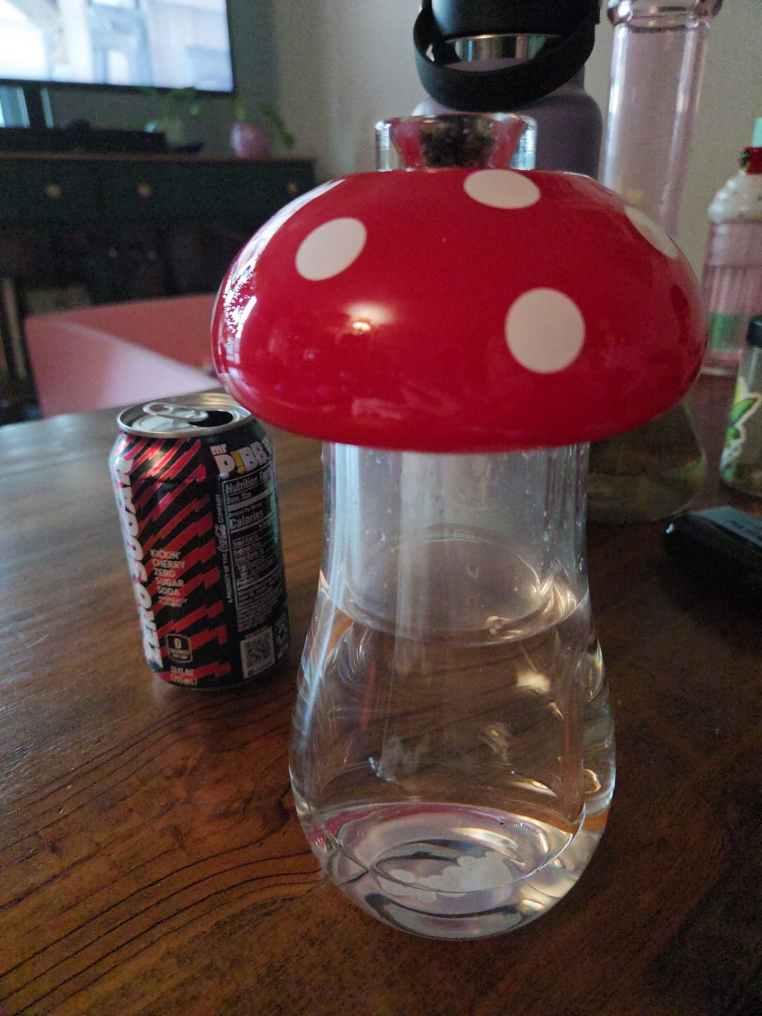Customer photo review of Mushroom Gravity Bong