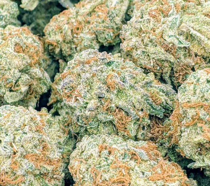 Customer photo review of Cereal Milk THCA Flower (Budget)