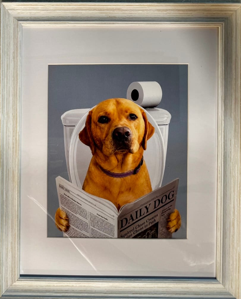 Customer photo review of Dog Reading Newspaper on toilet