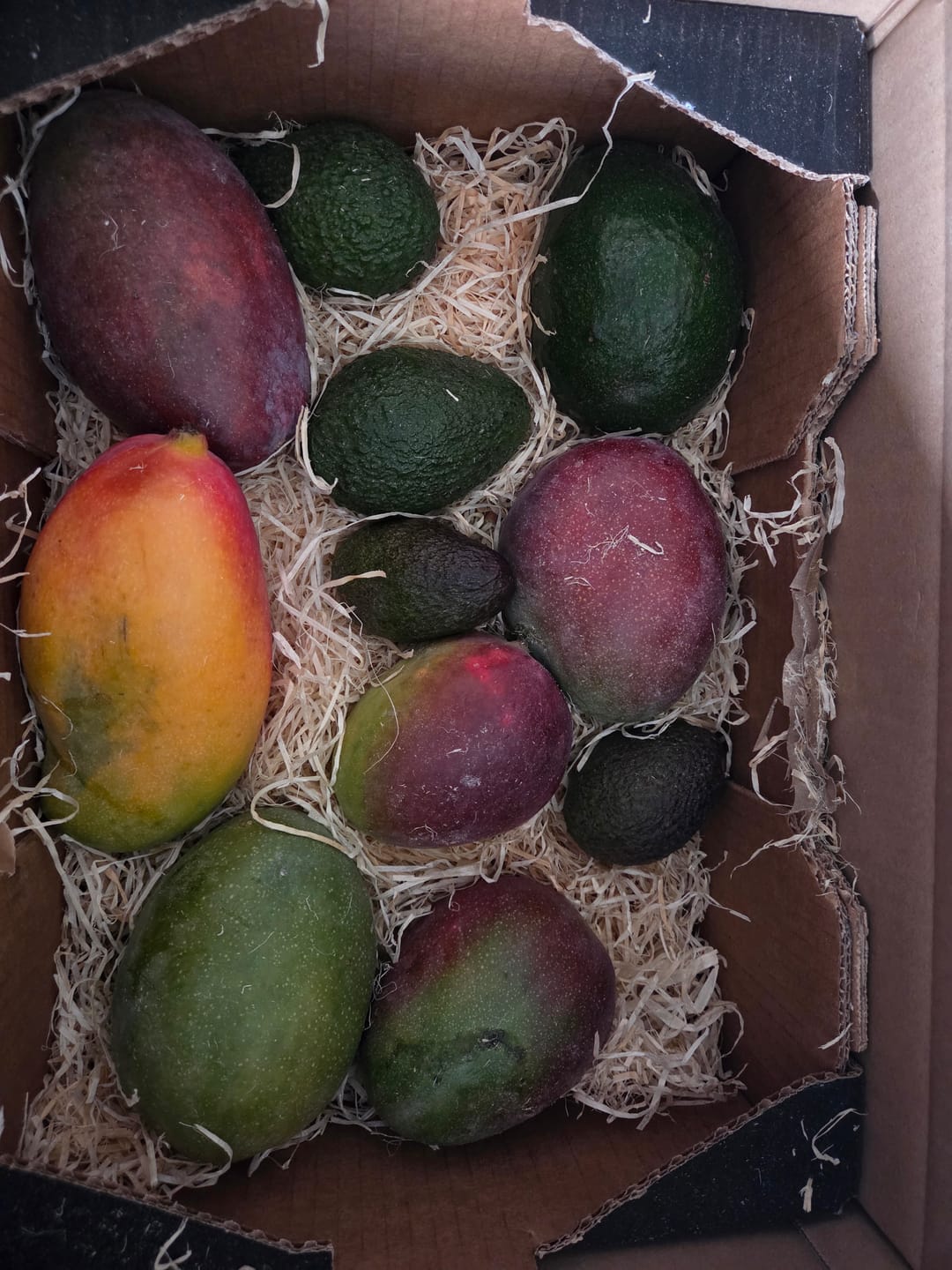 Customer photo review of Mango Mix von Juan 3kg Sonderaktion %
