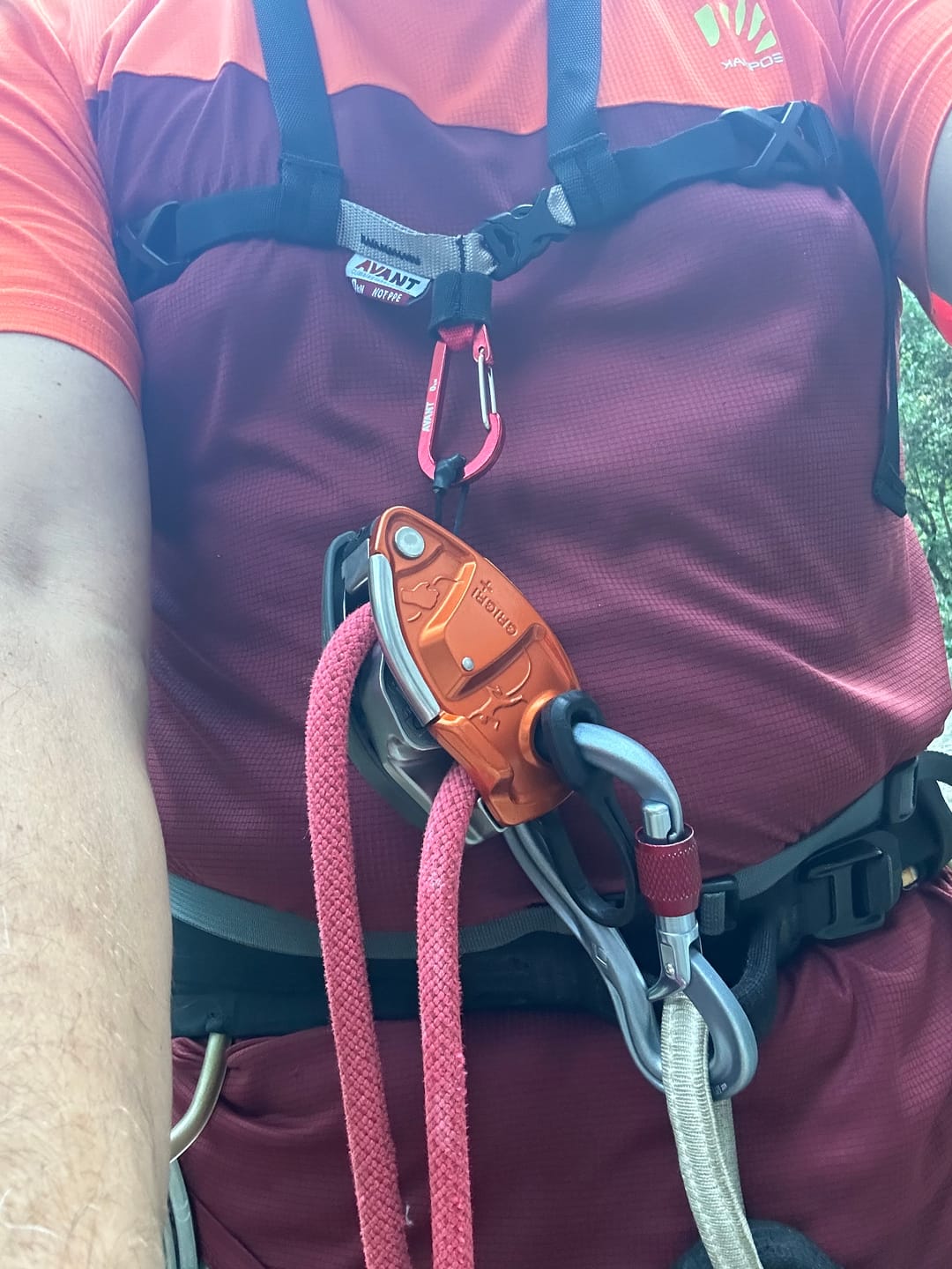 Customer photo review of LRS Chest Harness