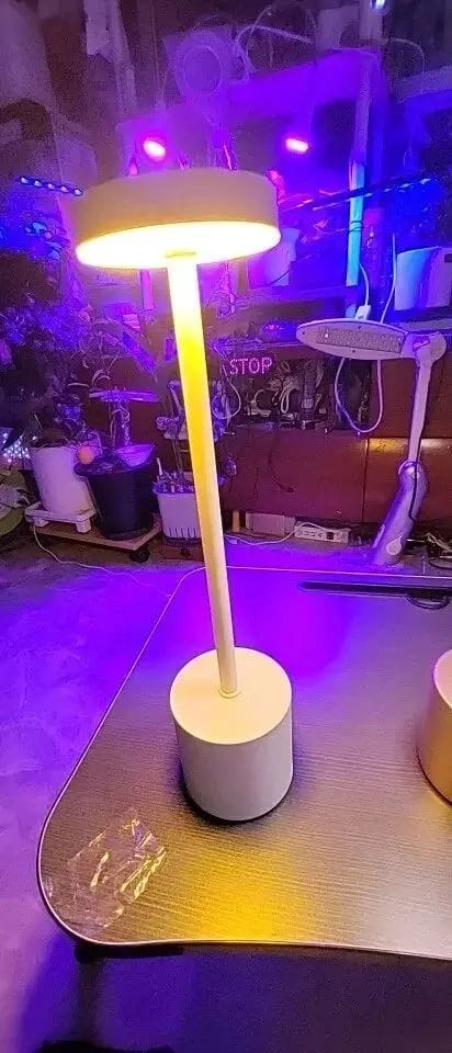Customer photo review of Luminária de Mesa Sem Fio Recarregável Nomad Glow