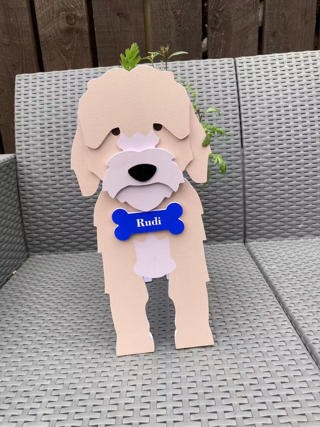 Customer photo review of Dog Planter - Cockapoo