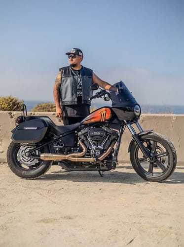 Customer photo review of 32L - Darkin Large Quick Mount Painted Hard Saddlebags for Harley Softail Street Bob FXBB/S