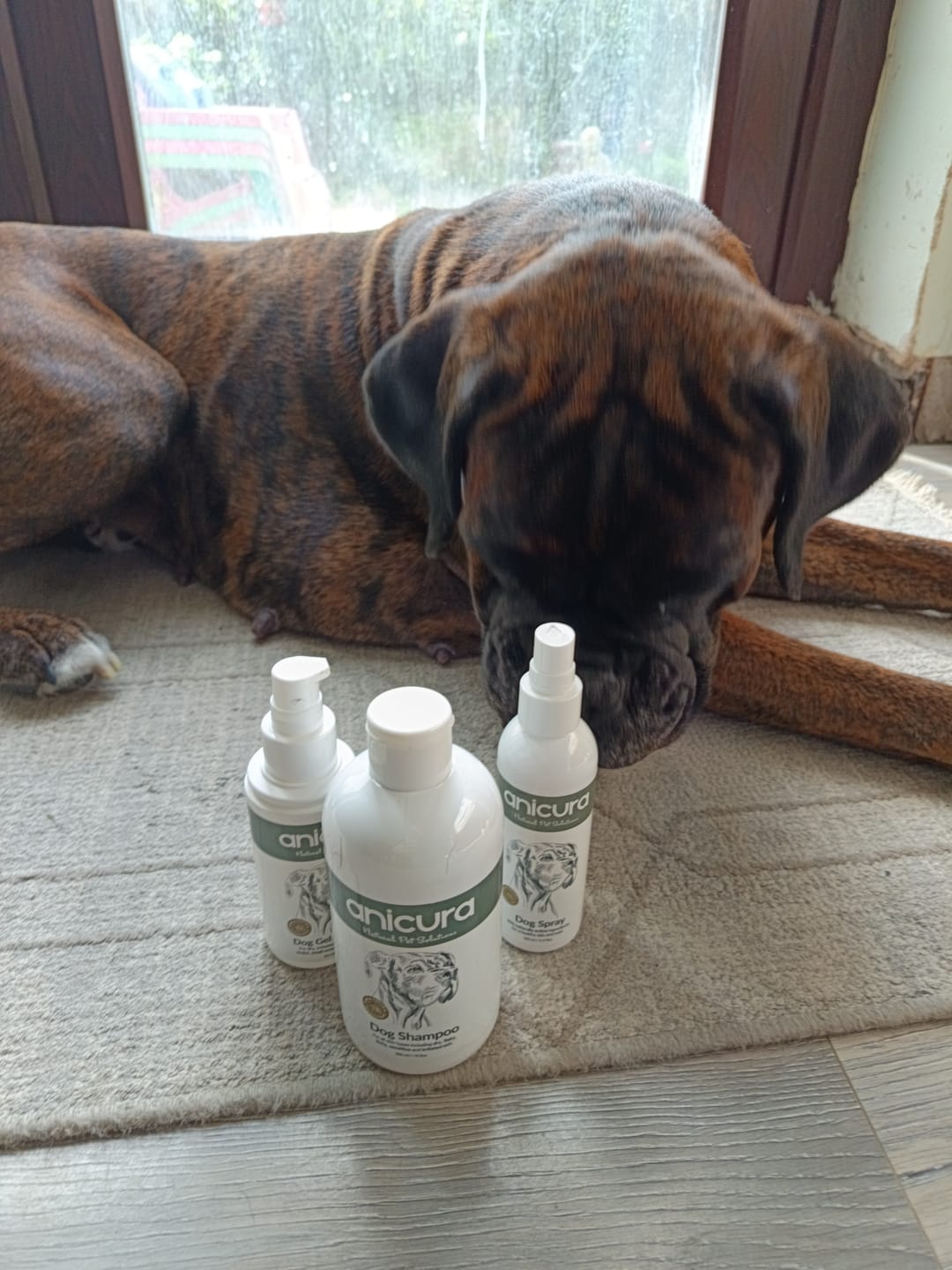 Customer photo review of Dog Shampoo