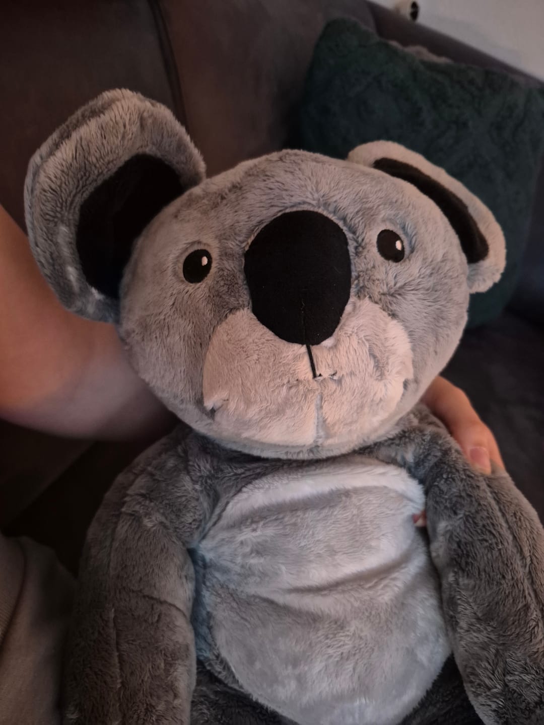 Customer photo review of Lotgenootje Koala 2kg