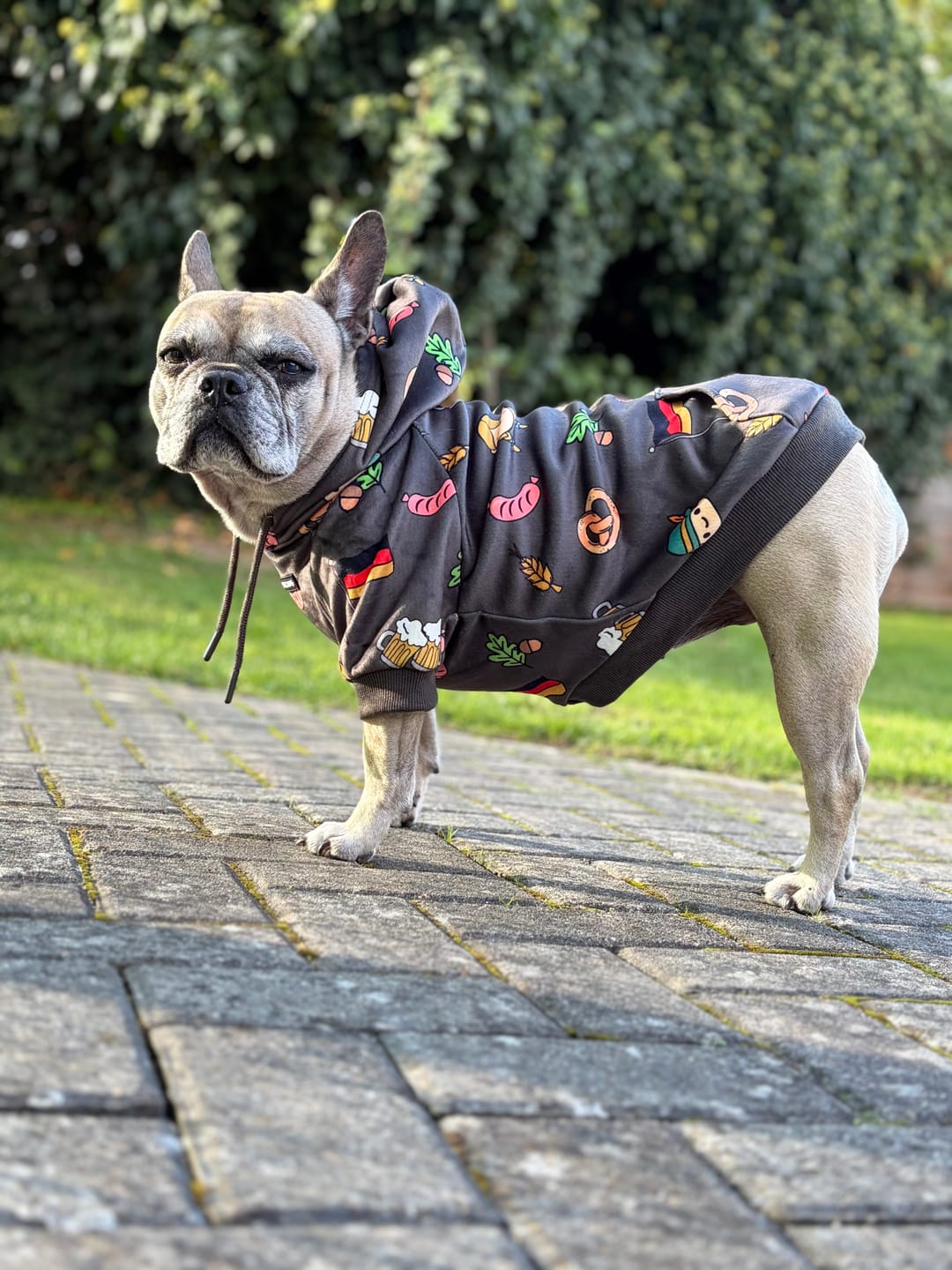 Customer photo review of The Germany Dog Hoodie - Dark Brown
