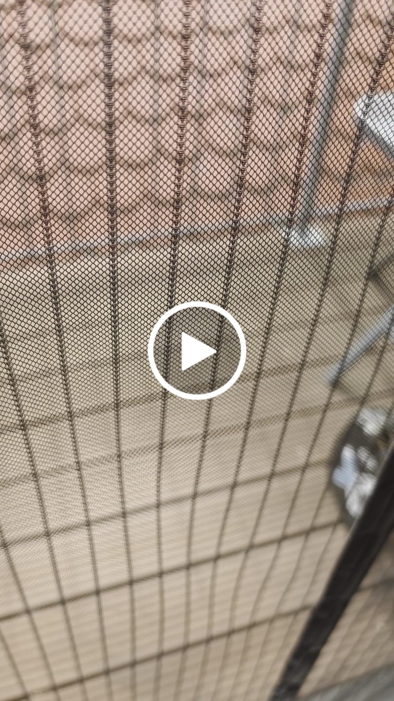 Customer video review of Fumot Tornado Vape 20000 - Peach Berry