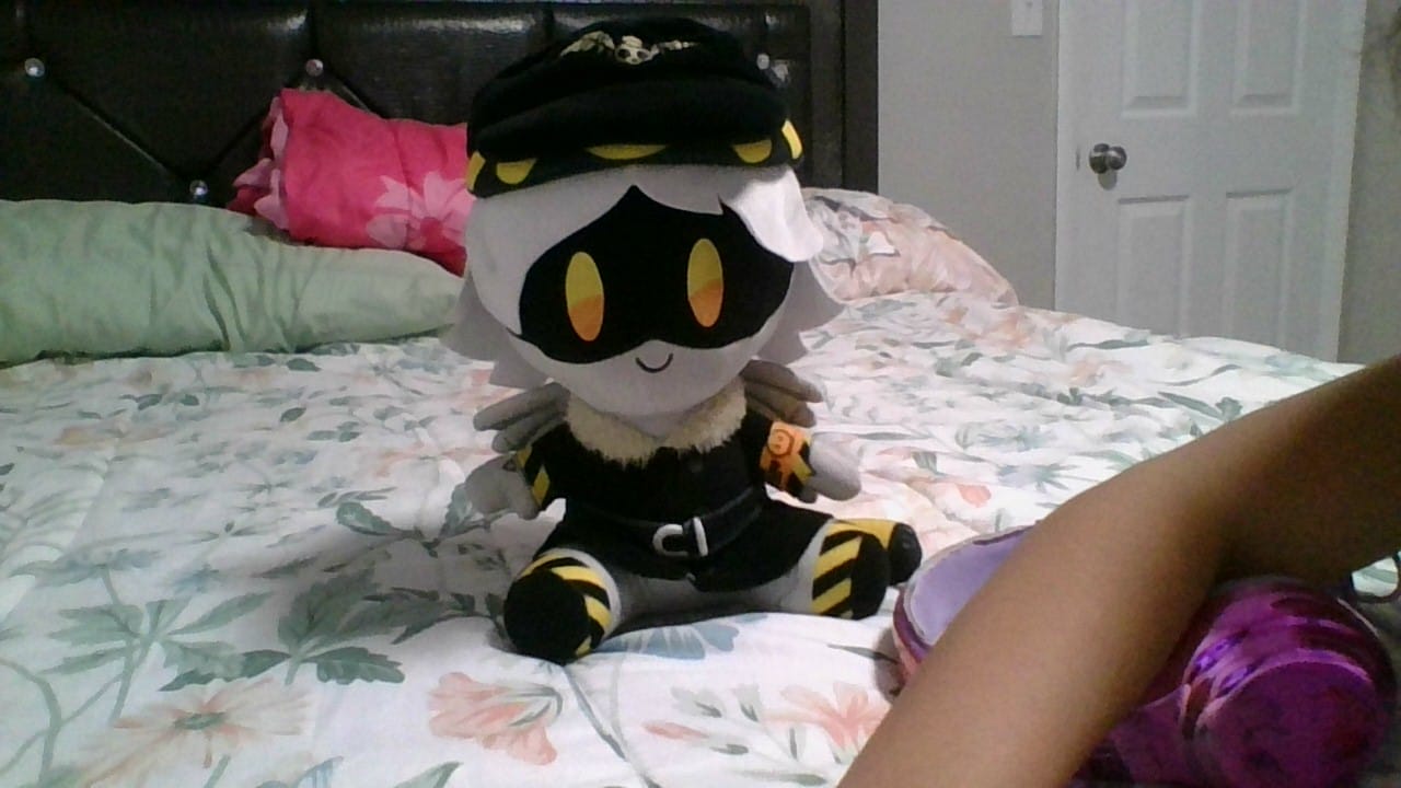 Customer photo review of N Plush