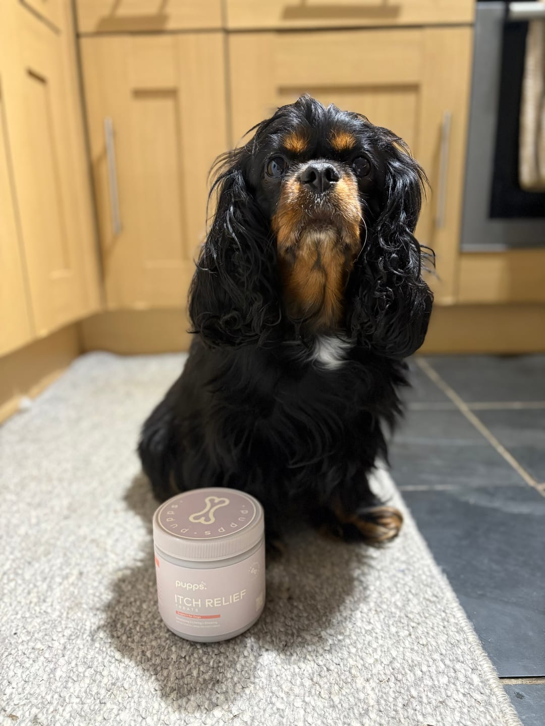 Customer photo review of Itch Relief Treats