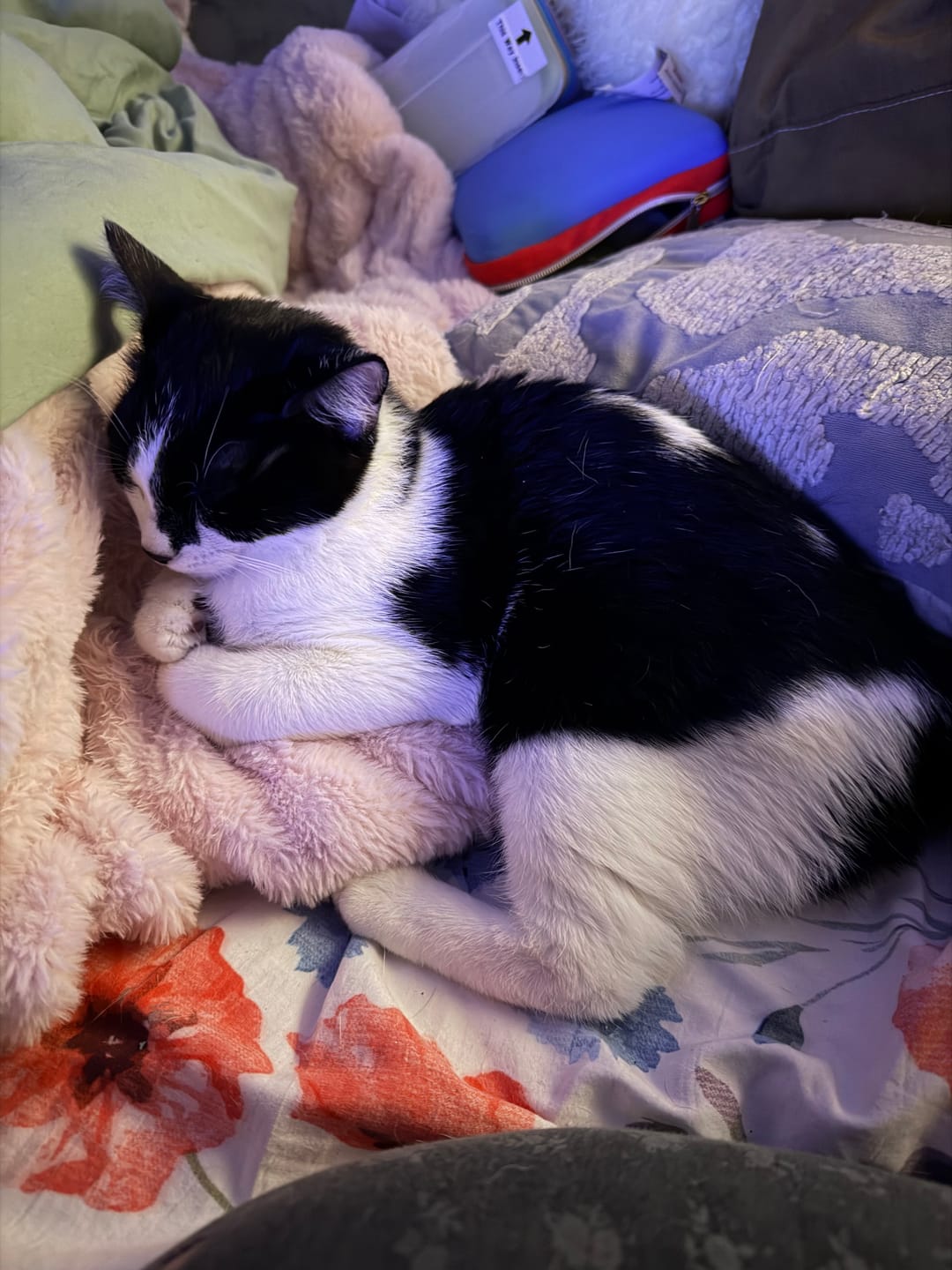 Customer photo review of Hugs Bashful Pink Blanket