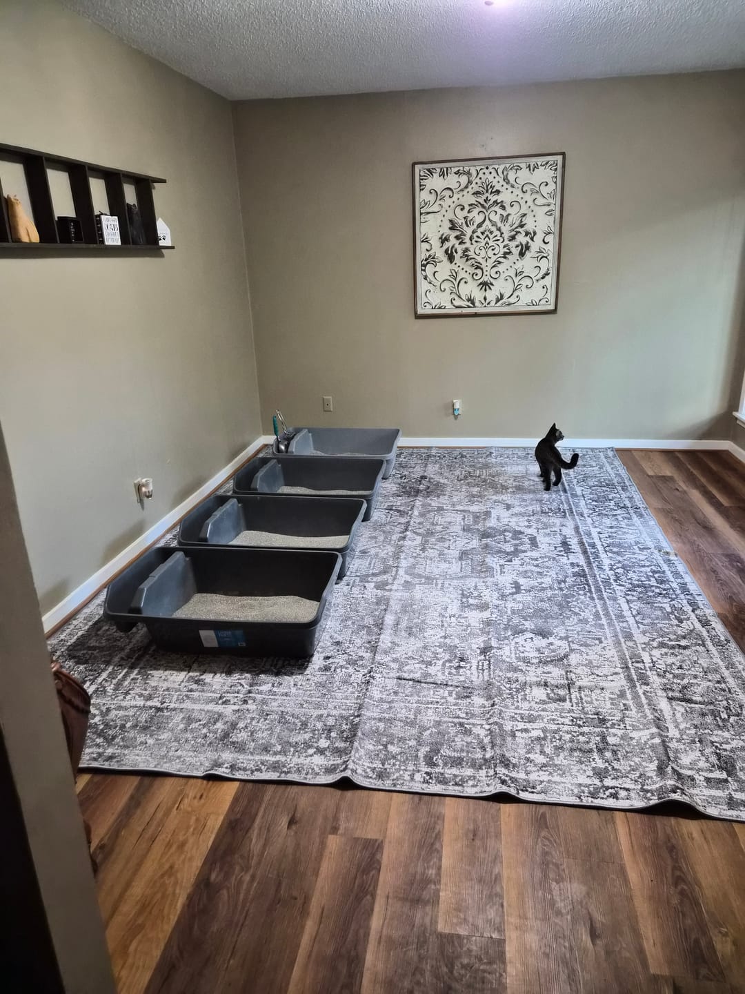 Customer photo review of Distressed Vintage Chilaz in Grey Rug