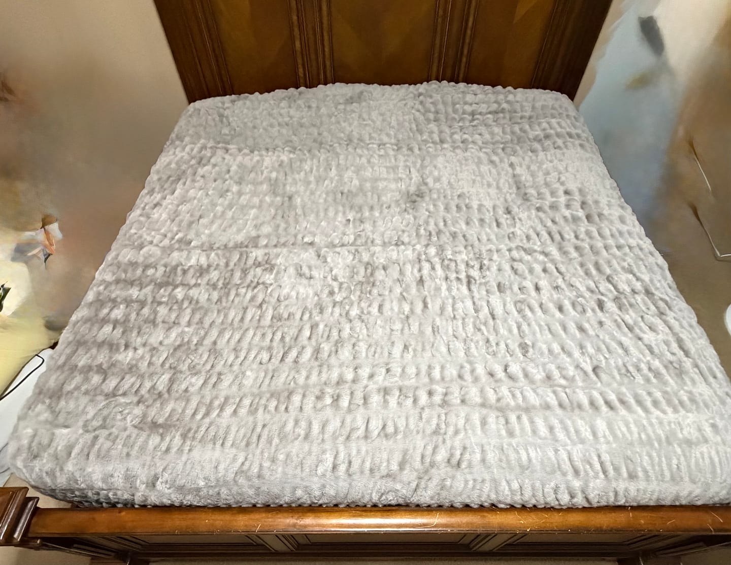 Customer photo review of Biggest Hugs Tranquil Dove Blanket