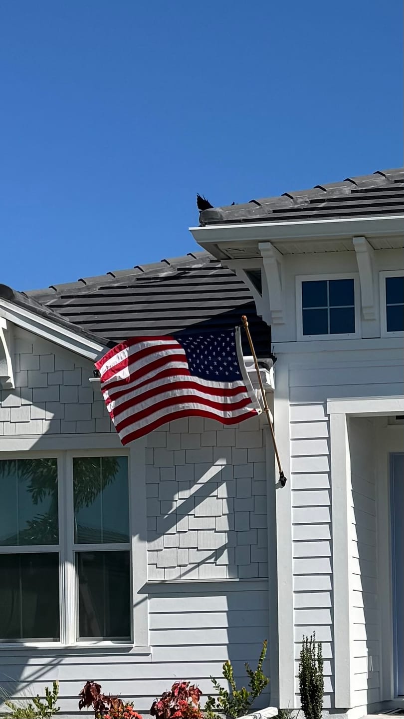 Customer photo review of 3' x 5' American Flag Set