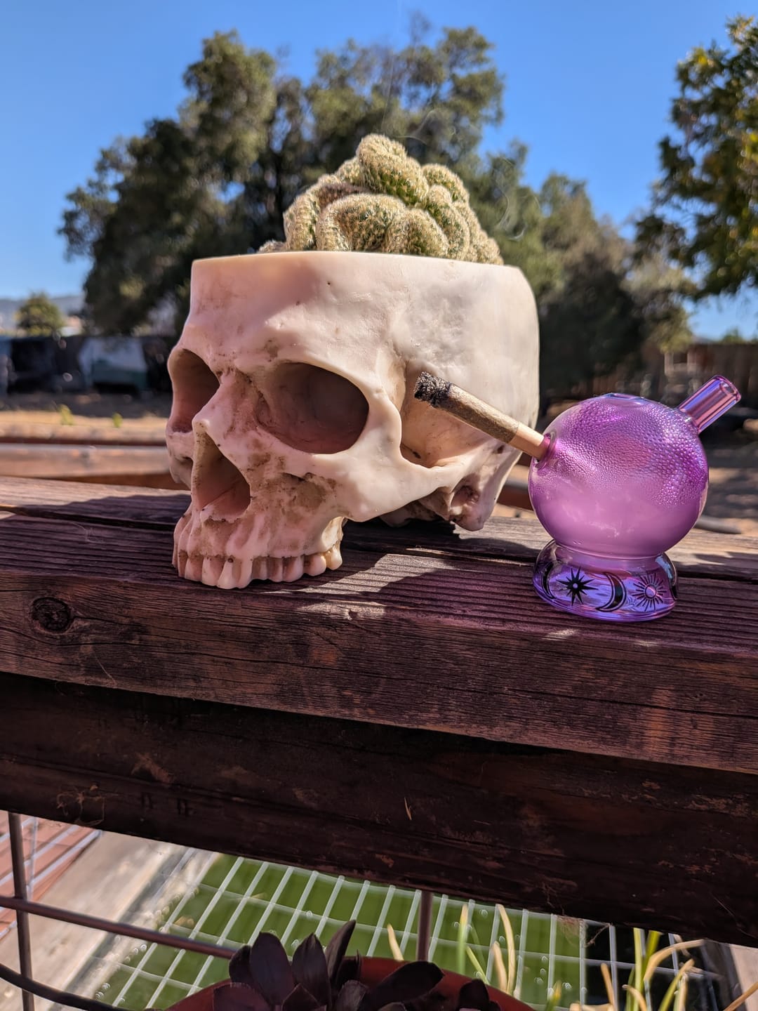 Customer photo review of CRYSTAL BALL JOINT BUBBLER