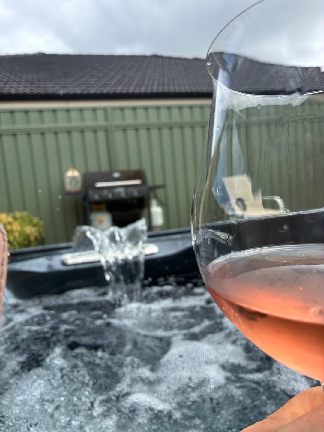 Customer photo review of Zero Sugar Rosé – Vegan Australian Wine | Single Bottle
