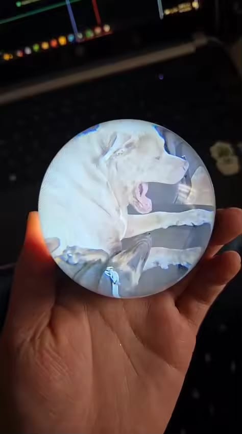Customer photo review of 3D Video Crystal Ball
