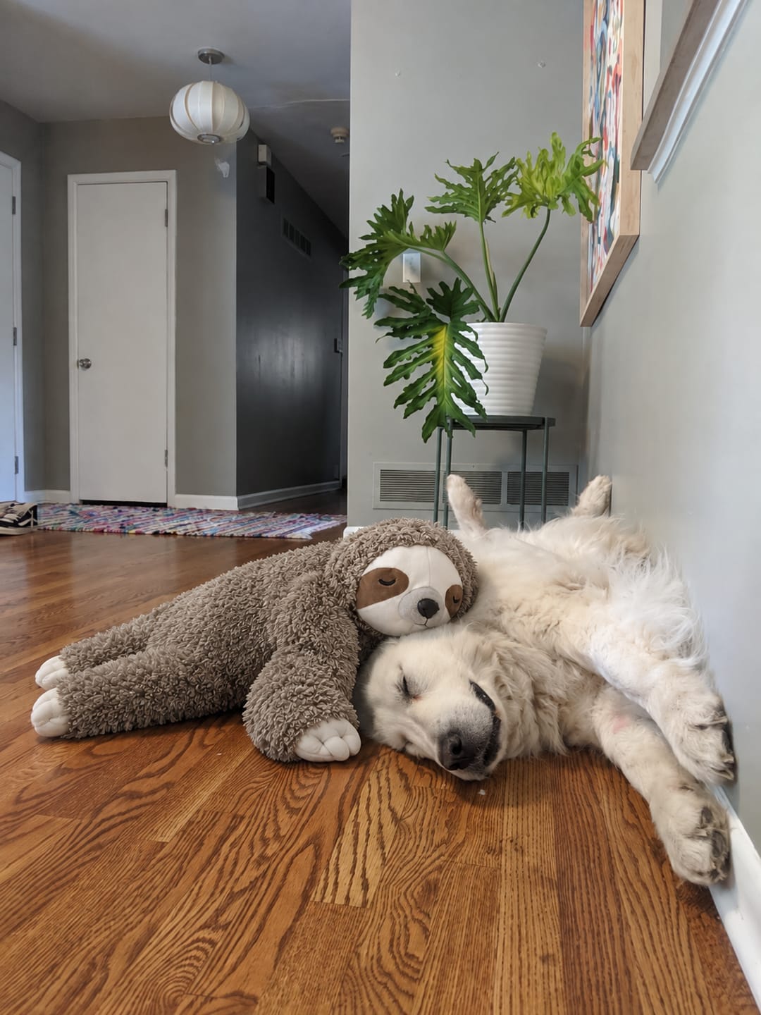 Customer photo review of Muffly™ Heartbeat Sloth – Calms Anxiety & Loneliness